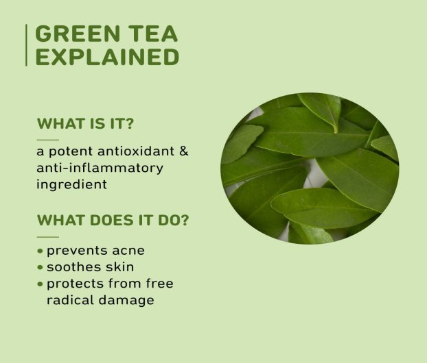 PLUM GREEN TEA ALCOHOL FREE TONER - 200 ML