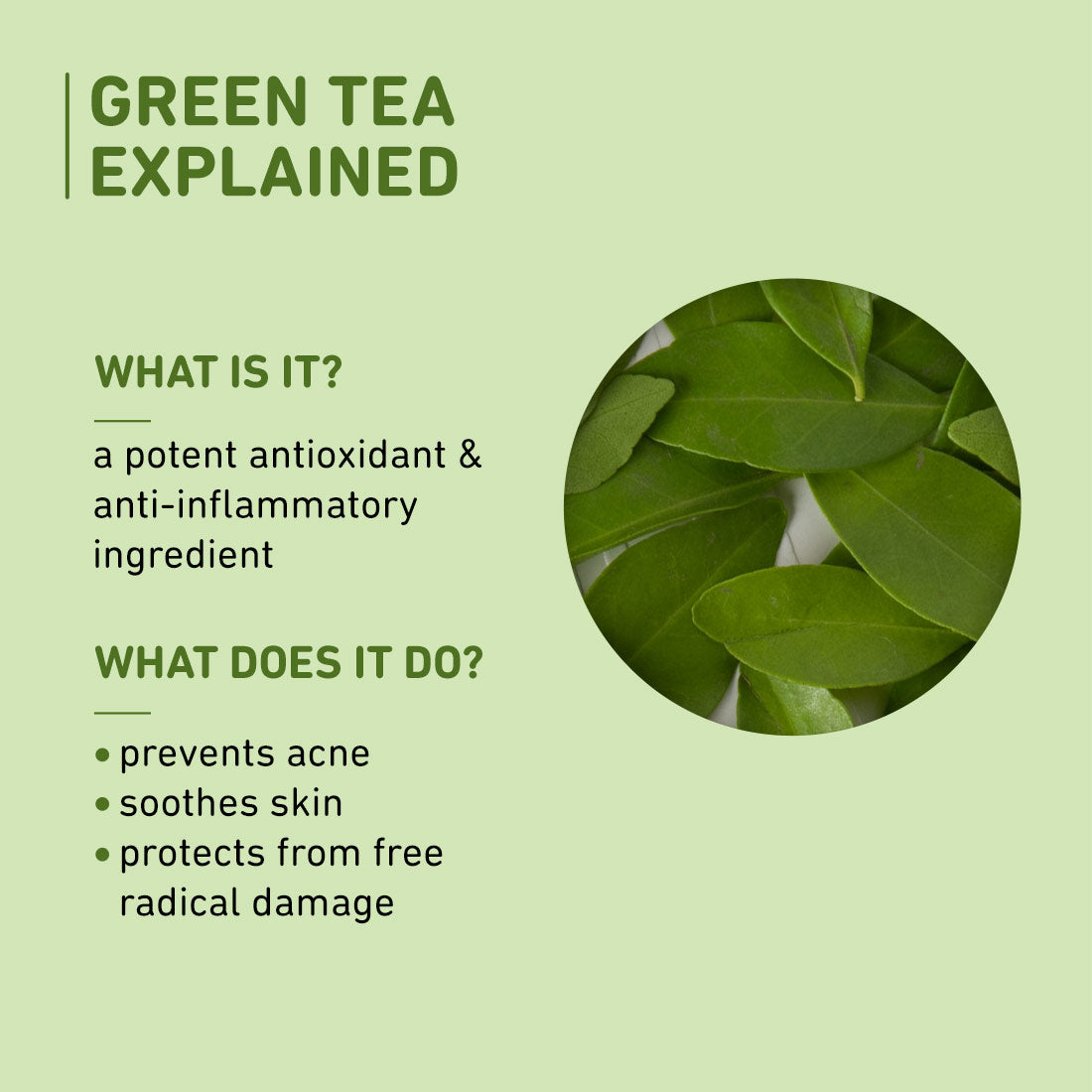 PLUM GREEN TEA ALCOHOL FREE TONER - 200 ML