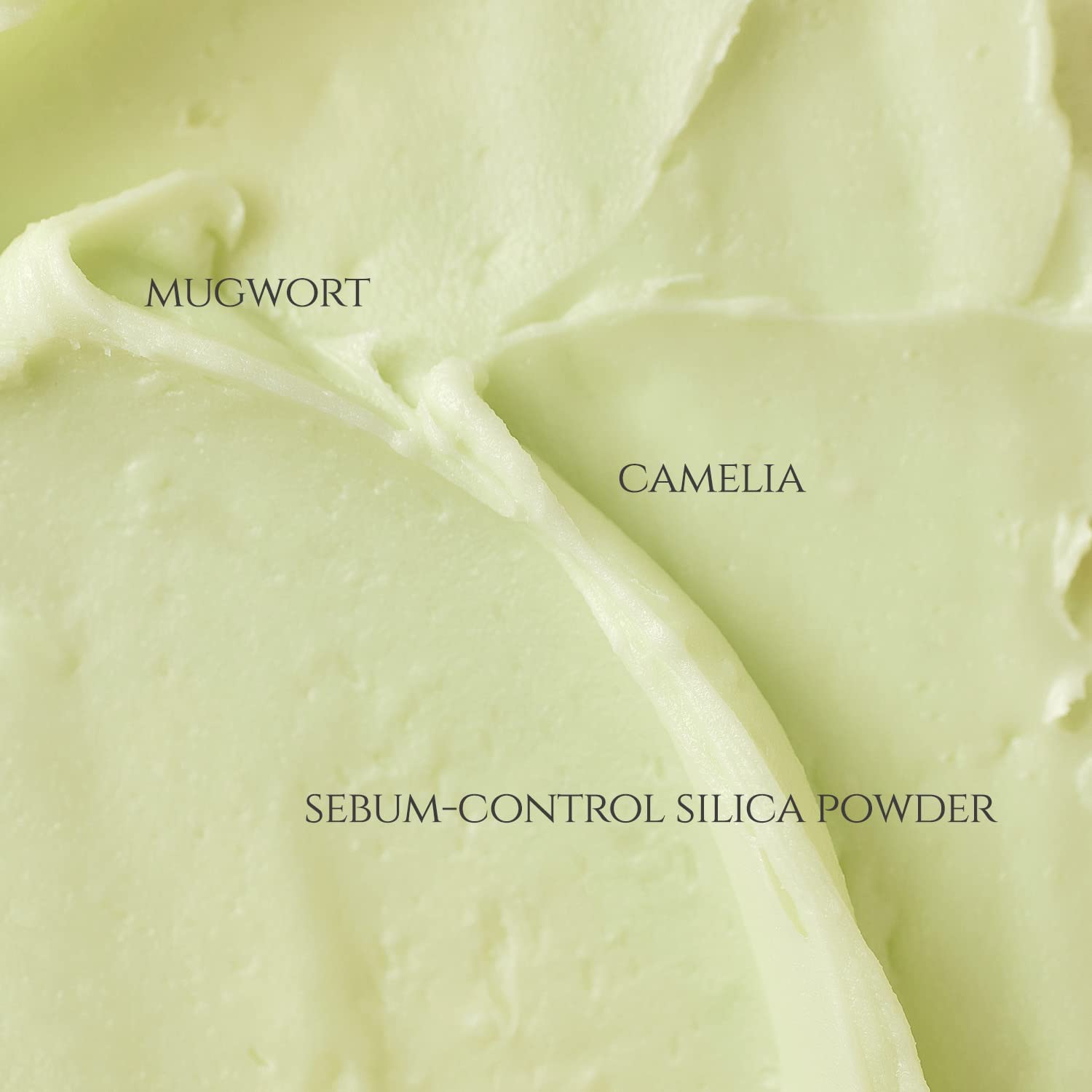  BEAUTY OF JOSEON- MATTE SUN STICK: MUGWORT + CAMELIA (18g, 0.63fl.oz)
