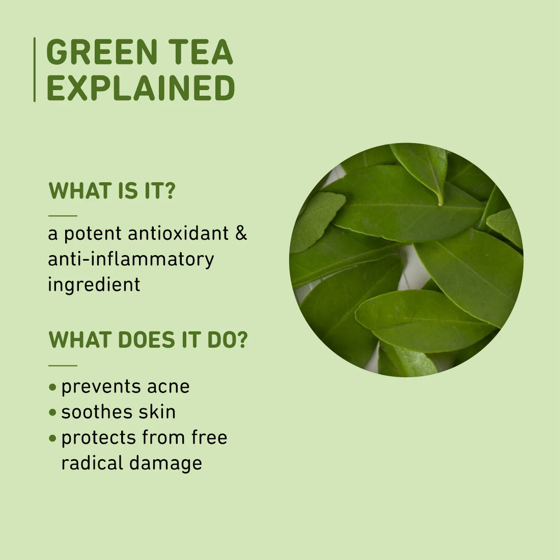 PLUM GREEN TEA PORE CLEANSING FACE WASH 100 ML